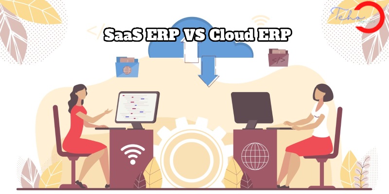 Common characteristics of SaaS ERP vs cloud ERP